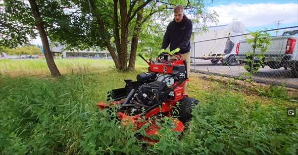 草刈り　ビフォーアフター