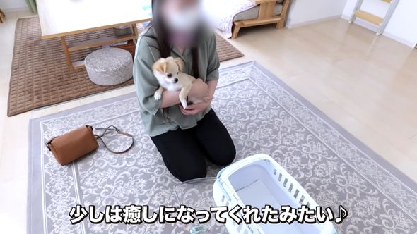 母親の癒やしになった赤ちゃんワンコ