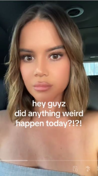 車を運転中のモリスさんの動画