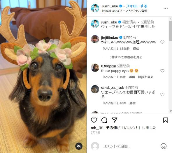 すしらーめんさんのInstagram投稿