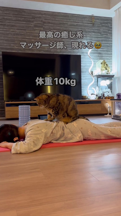 体重をかける猫