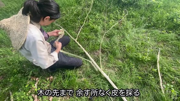 縄文時代のポシェットを再現するべく樹皮を採取