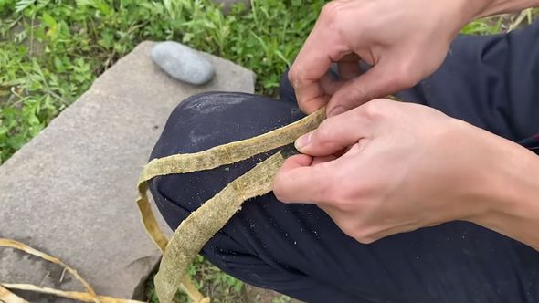 縄文時代のポシェットを再現するべく樹皮をひも状にカット