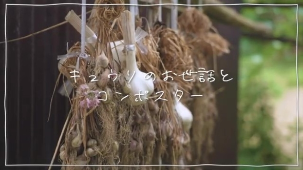 つるしたにんにく