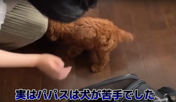 おすすめ