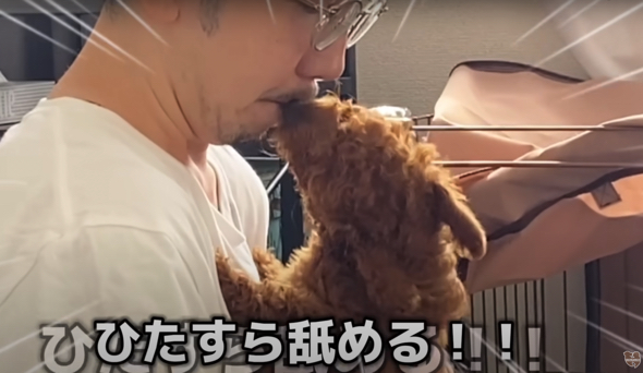 パパさんの顔をひたすらなめるワンコ