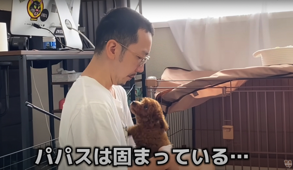 激しい愛情表現にフリーズするパパさん