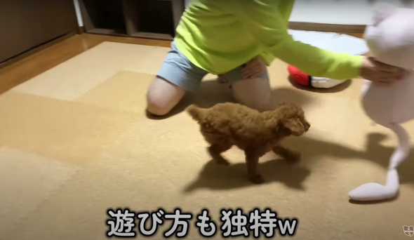 独特な遊びを楽しむふたり