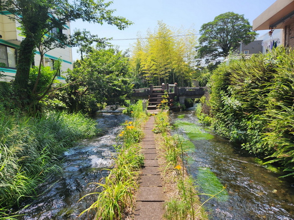 三島市
