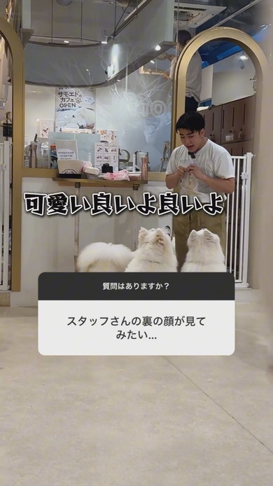 サモエドカフェの裏側の光景