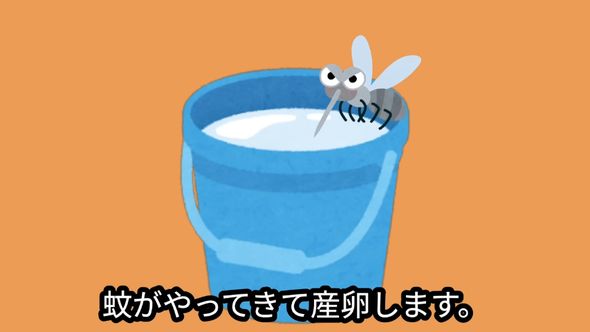 蚊は流れのない水場に産卵する
