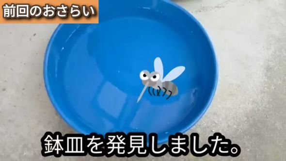 蚊は雨水のたまった鉢皿に産卵する可能性もある