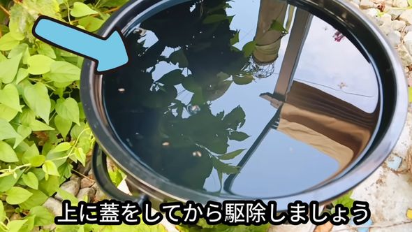 ボウフラを駆除するため洗剤を使う際はバケツにフタをする