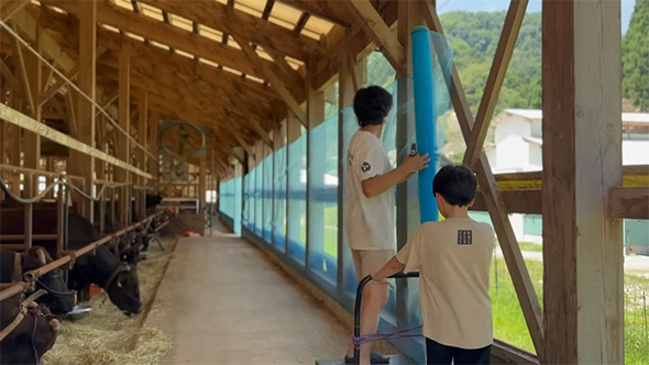 ネットを設置後ろ姿