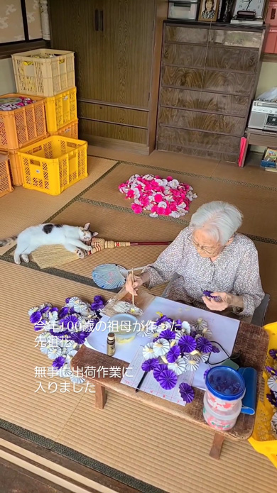 100歳 おばあちゃん 手仕事 見守る 猫 先祖花 祖母 白寿