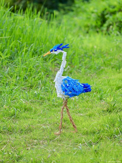 洗濯バサミでアオサギ
