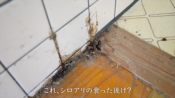 ベテラン大工がリフォーム中にシロアリ被害に遭遇
