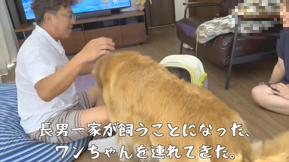 ワンちゃん連れてきた