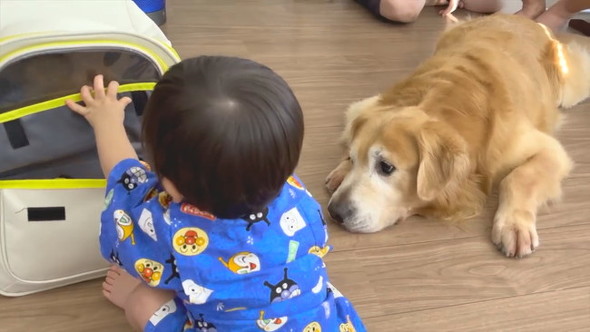 じーっと見るベンツ