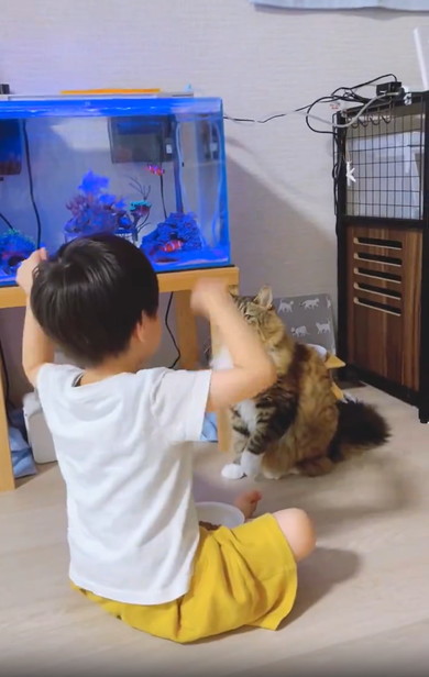 にゃんにゃんする息子