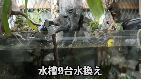 アクアリストに出張命令