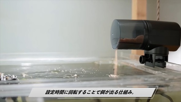 アクアリストに出張命令