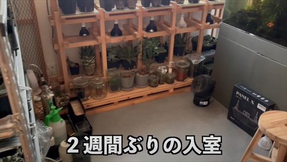 アクアリストに出張命令