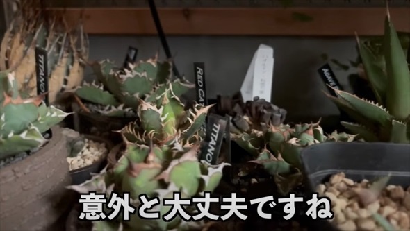 アクアリストに出張命令