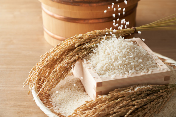 オーストラリア産米