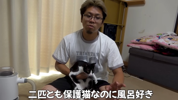 猫ちゃんを抱えている男性
