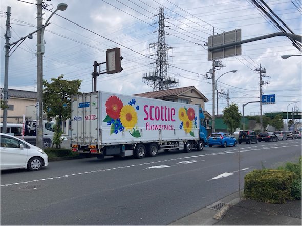 公道を走る巨大ボックスティッシュ