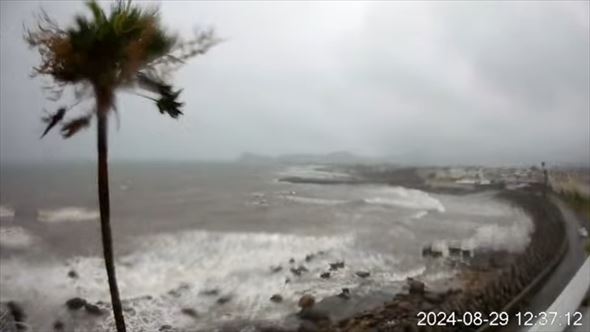 29日のヤッシー