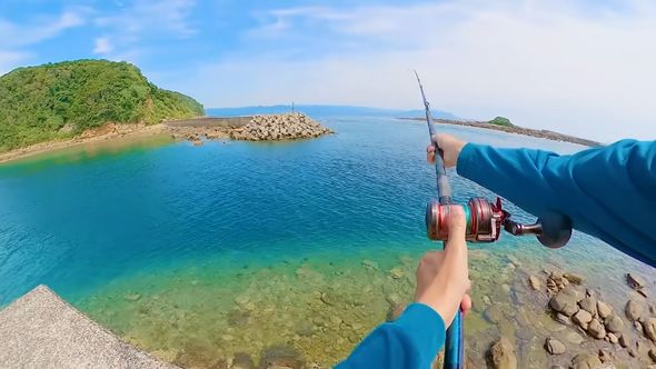 カニを餌にして魚釣り
