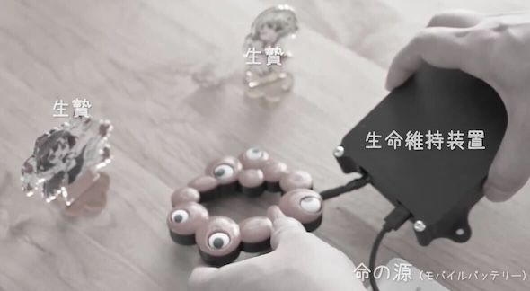 いのちのかがやきくん