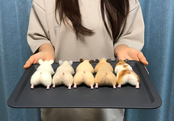 ハムスター 羊毛作家 本物みたい 羊毛フェルト 作品 ハムケツ