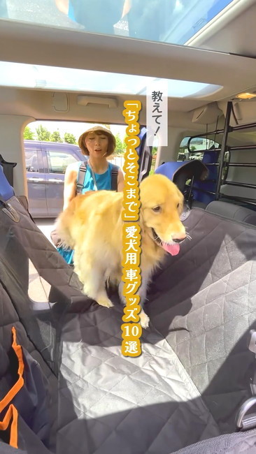車アイテム10選