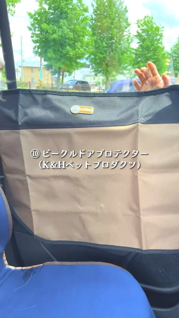 ドアプロテクター