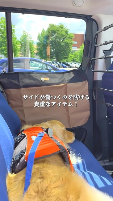 ドアプロテクター