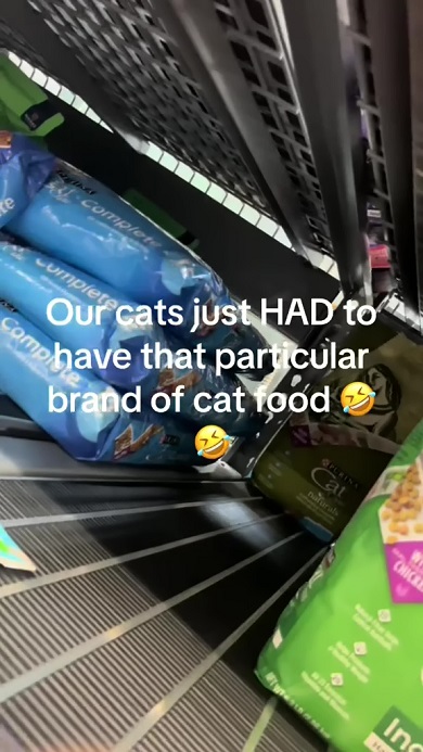 同じメーカーのキャットフードしか食べない飼い猫のため商品棚の奥に体を突っ込んで入手する家族
