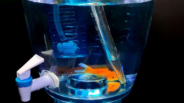 魚の食べ残しは専用のスポイトで回収する