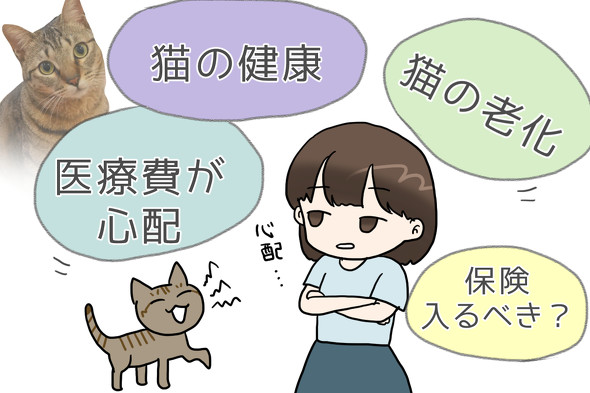 【PR】 Amazon ペット保険 わんにゃん安心保険