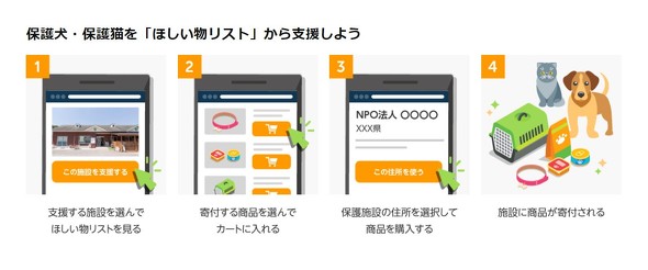 【PR】 Amazon ペット保険 わんにゃん安心保険