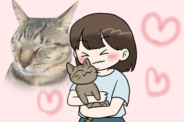 【PR】 Amazon ペット保険 わんにゃん安心保険