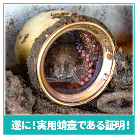 淡路屋 ひっぱりだこ飯 駅弁 漁 実証 明石 たこ