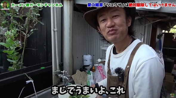 駆除してはいけない雑草