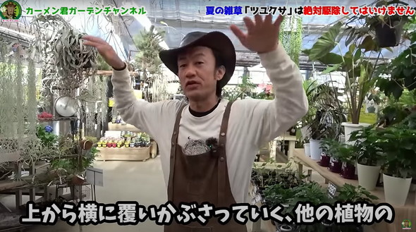 駆除してはいけない雑草