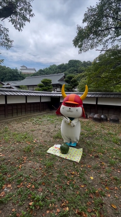 ひこにゃんのシュールなスイカ割り