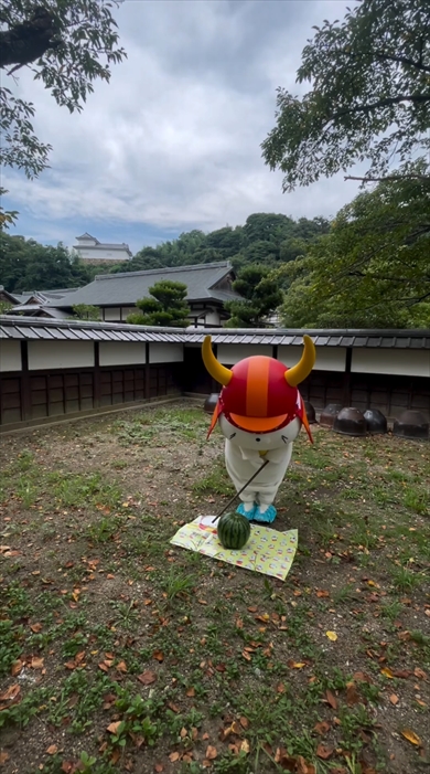 ひこにゃんのシュールなスイカ割り