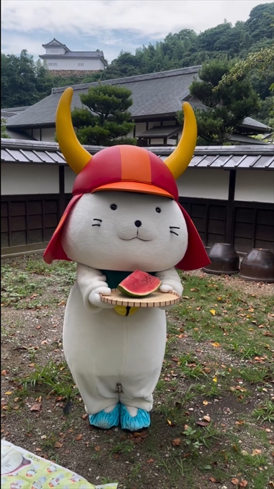 ひこにゃんのシュールなスイカ割り