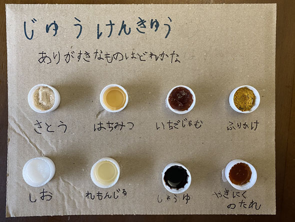 自由研究